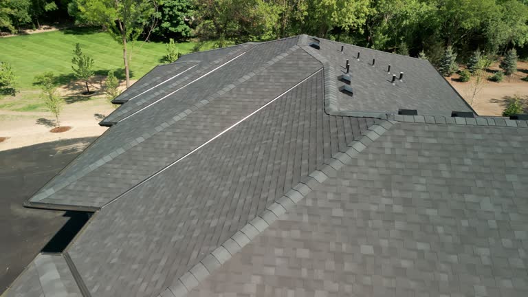 Best Steel Roofing  in Level Park Oak Park, MI